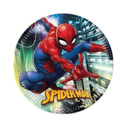 צלחות יום הולדת גדולות ספיידרמן - All Store