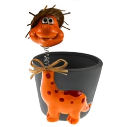 עציץ דינואור 16*10 ס"מ - All Store