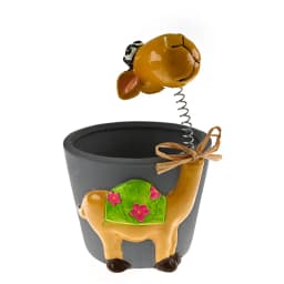 עציץ גמל 16*10 ס"מ - All Store