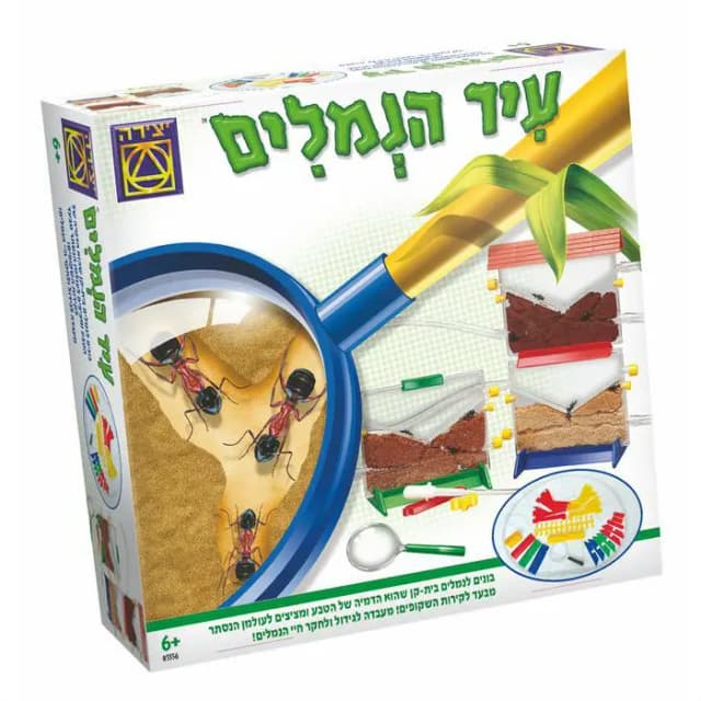 עיר הנמלים - All Store