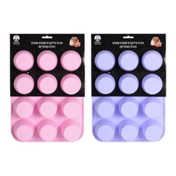 תבנית סיליקון