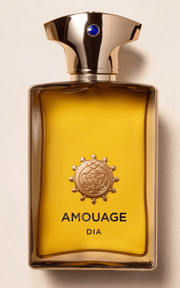 בושם לגבר דיה מבית אמואג' 100מ"ל א.ד.פ (אריזת טסטר)