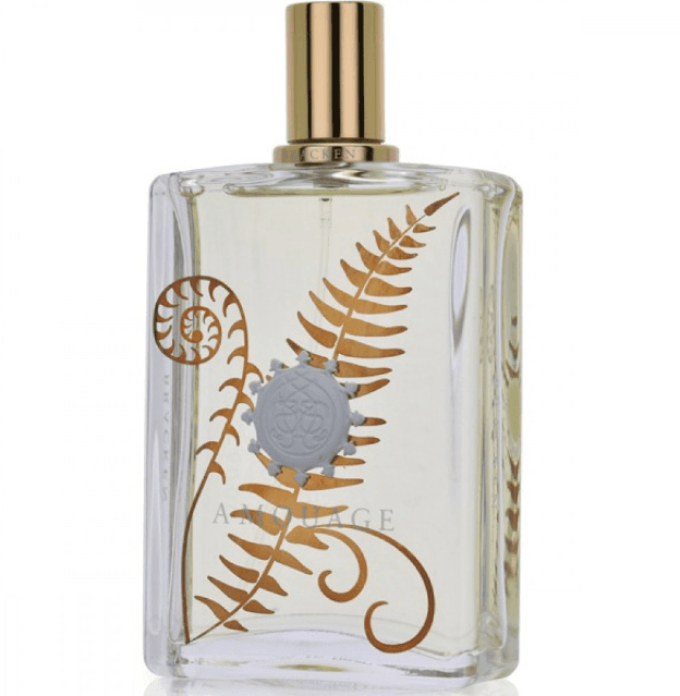 בושם לגבר ברייקן מבית אמואג' 100מ"ל א.ד.פ (אריזת טסטר)