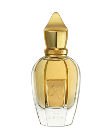 בושם יוניסקס גיבאון קלאב מבית סרג'וף 50מ"ל א.ד.פ (אריזת טסטר)