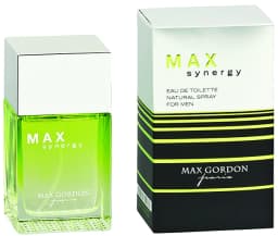מקס גורדון סינרג'י (ג) אדט 100מל / Max Gordon Synergy (m) Edt 100 Ml