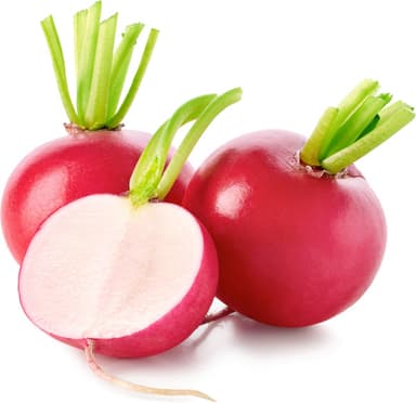 צנון