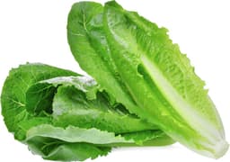 עלי חסה שטופים