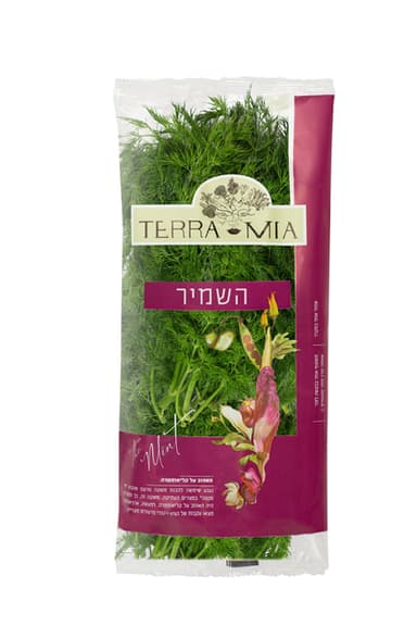 שמיר ארוז