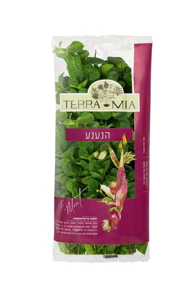 נענע ארוזה