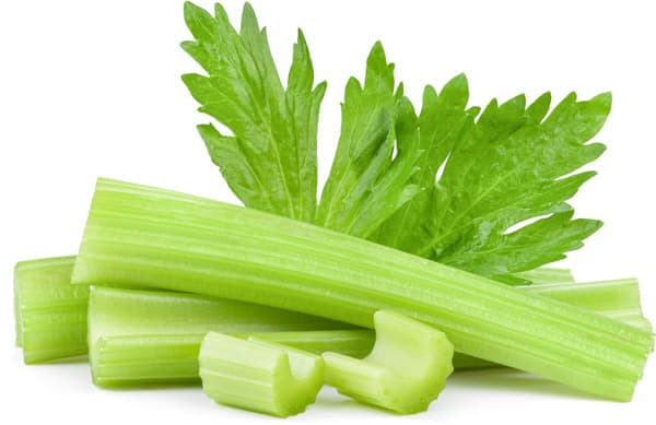 סלרי אמריקאי ארוז