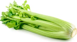 סלרי ראש ארוז