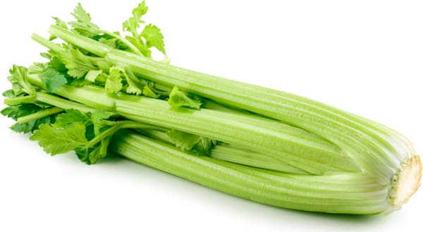 סלרי ראש ארוז