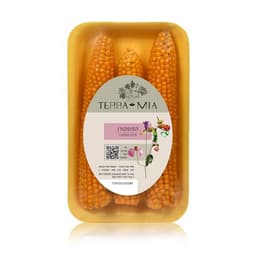 תירס פופקורן טרה מיה