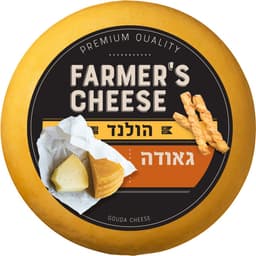 גאודה הולנדית 30% במשקל