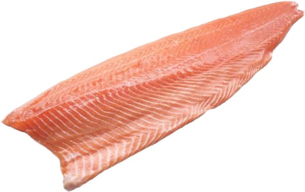 פילה סלמון קפוא במשקל