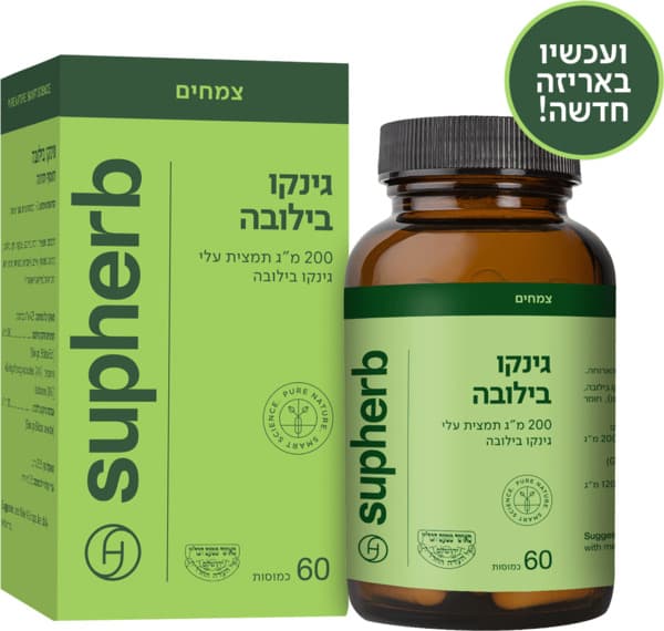 תמצית גינקו בילובה