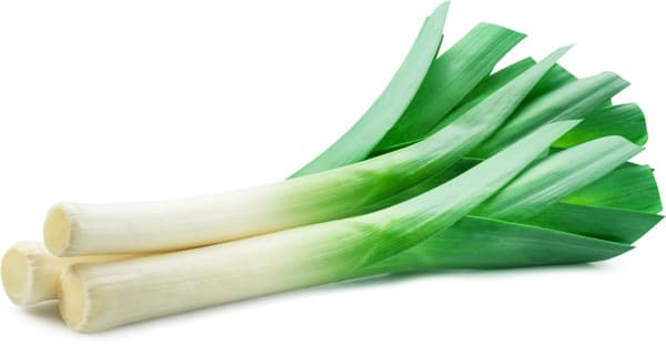 לוף