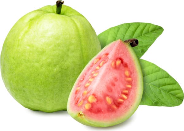 גויבות