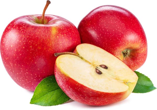 תפו"ע חרמון