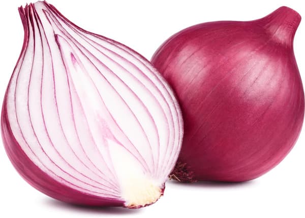 בצל אדום