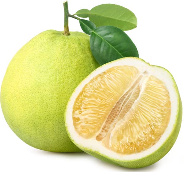 אשכוליות
