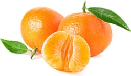 קלמנטינה ברשת