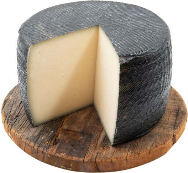 מנצ'גו כבשים