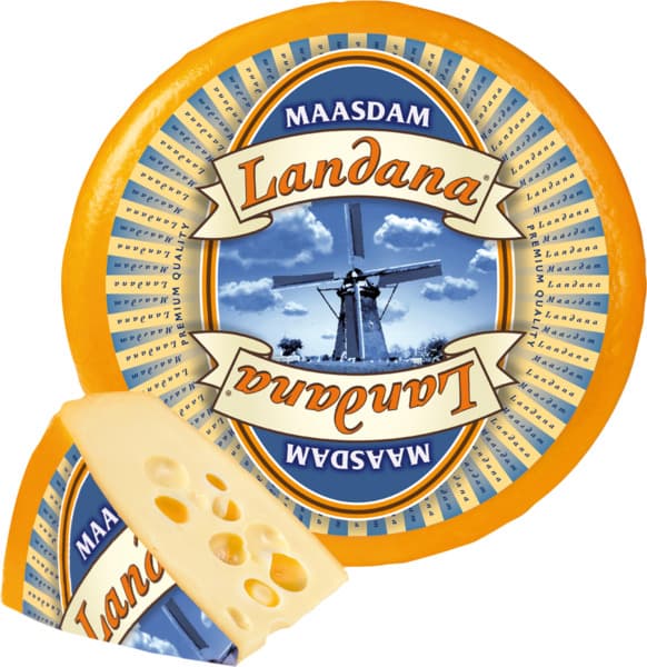 לנדאנה מאסדם במשקל  