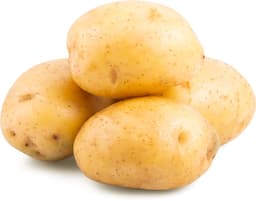 תפוח אדמה אורגני