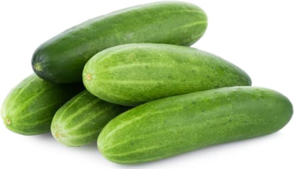 מלפפון אורגני