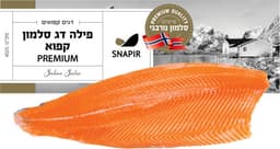 פילה סלמון נורבגי פרימיום קפוא 1.4-1.8