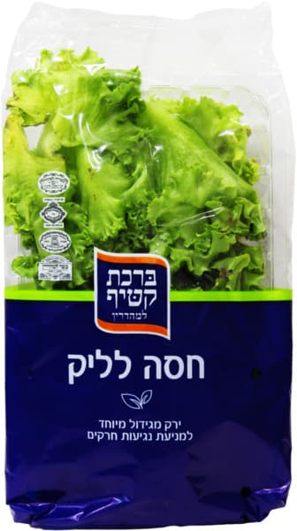 חסה לליק