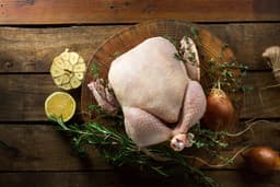 עוף שלם טרי תפזורת