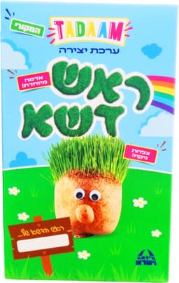 ערכת יצירה ראש דשא