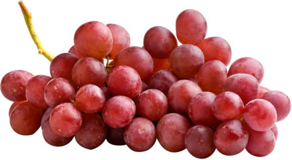 ענב אדום ייבוא ליח  
