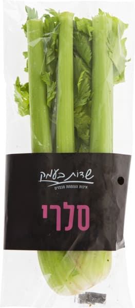 סלרי חתוך שדות בעמק