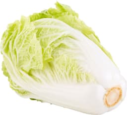 כרוב סיני שדות בעמק