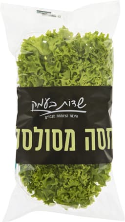 חסה מסולסלת שדות בעמ