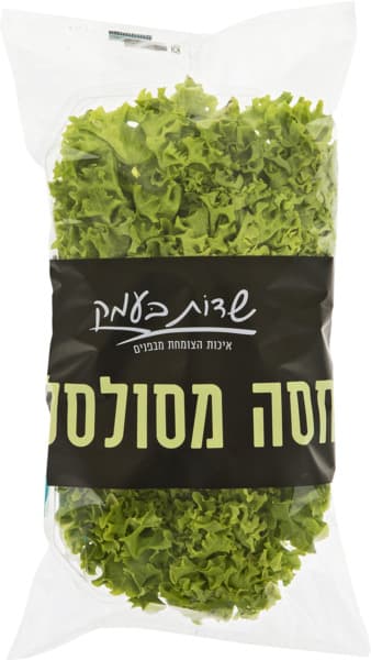 חסה מסולסלת שדות בעמ
