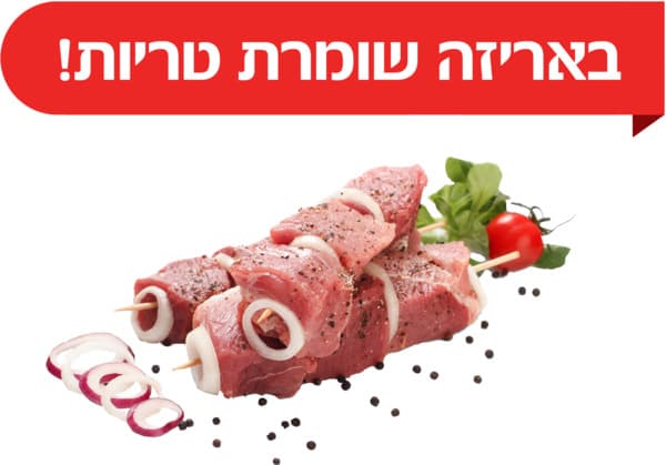 קוביות שייטל לשיפודי