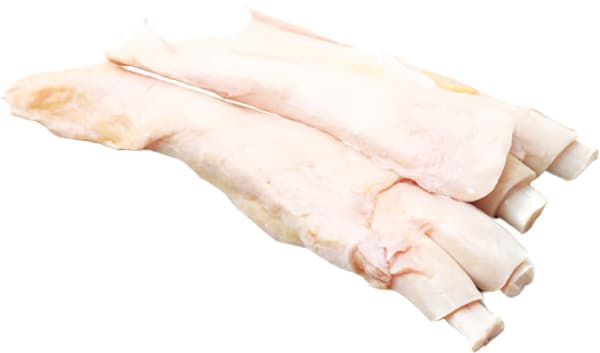 גידים מוכשר