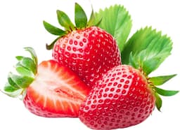 תותים סלסלה גדולה