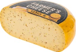 גאודה כמון הולנדית