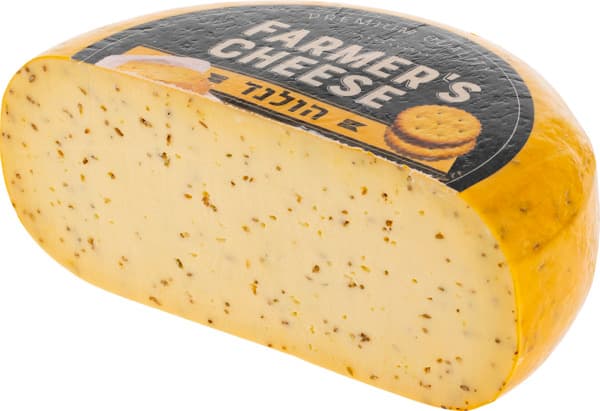 גאודה כמון הולנדית