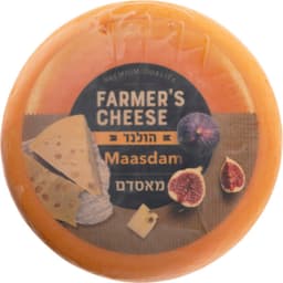 גבינה מאסדם הולנדית