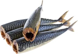 מקרל מעושן גדול