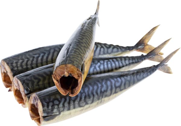 מקרל מעושן גדול