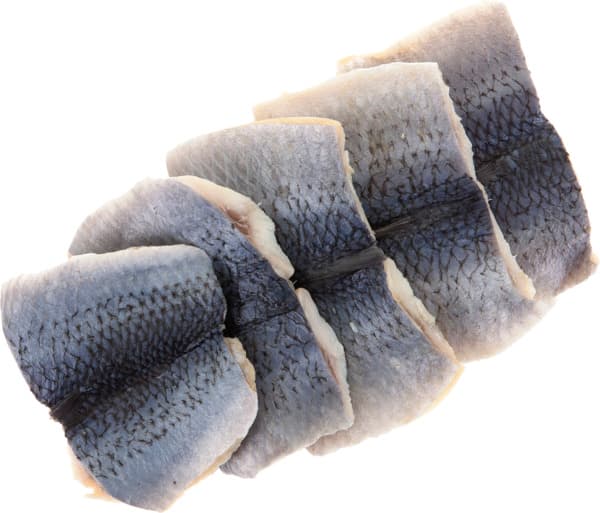 פילה הרינג לבן