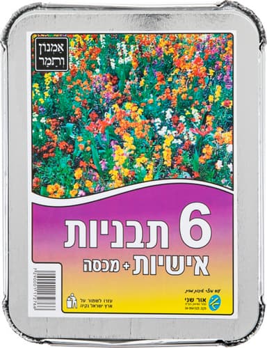 תבניות אמנון סוגים ש
