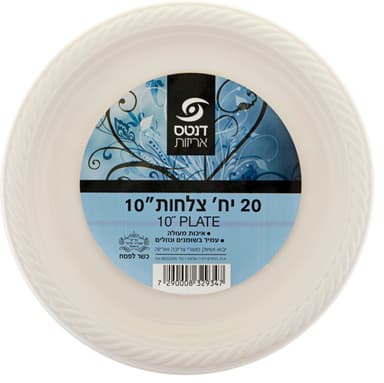 צלחת (10) ציבעוני 20